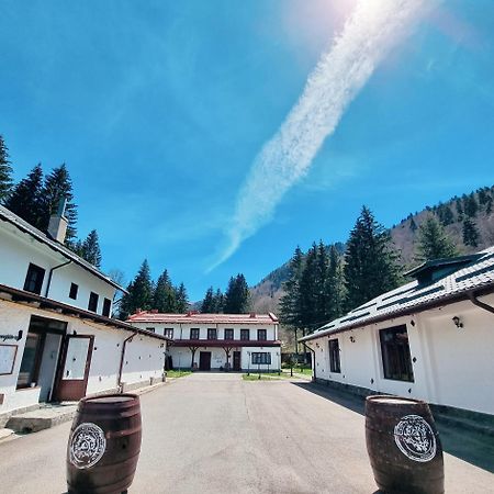 Pensiunea Rhein Azuga Esterno foto